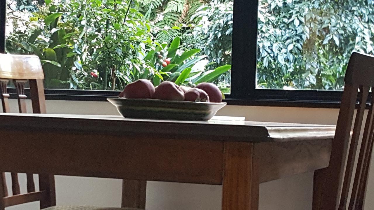Bed and Breakfast Sequoia Steps New Plymouth Esterno foto