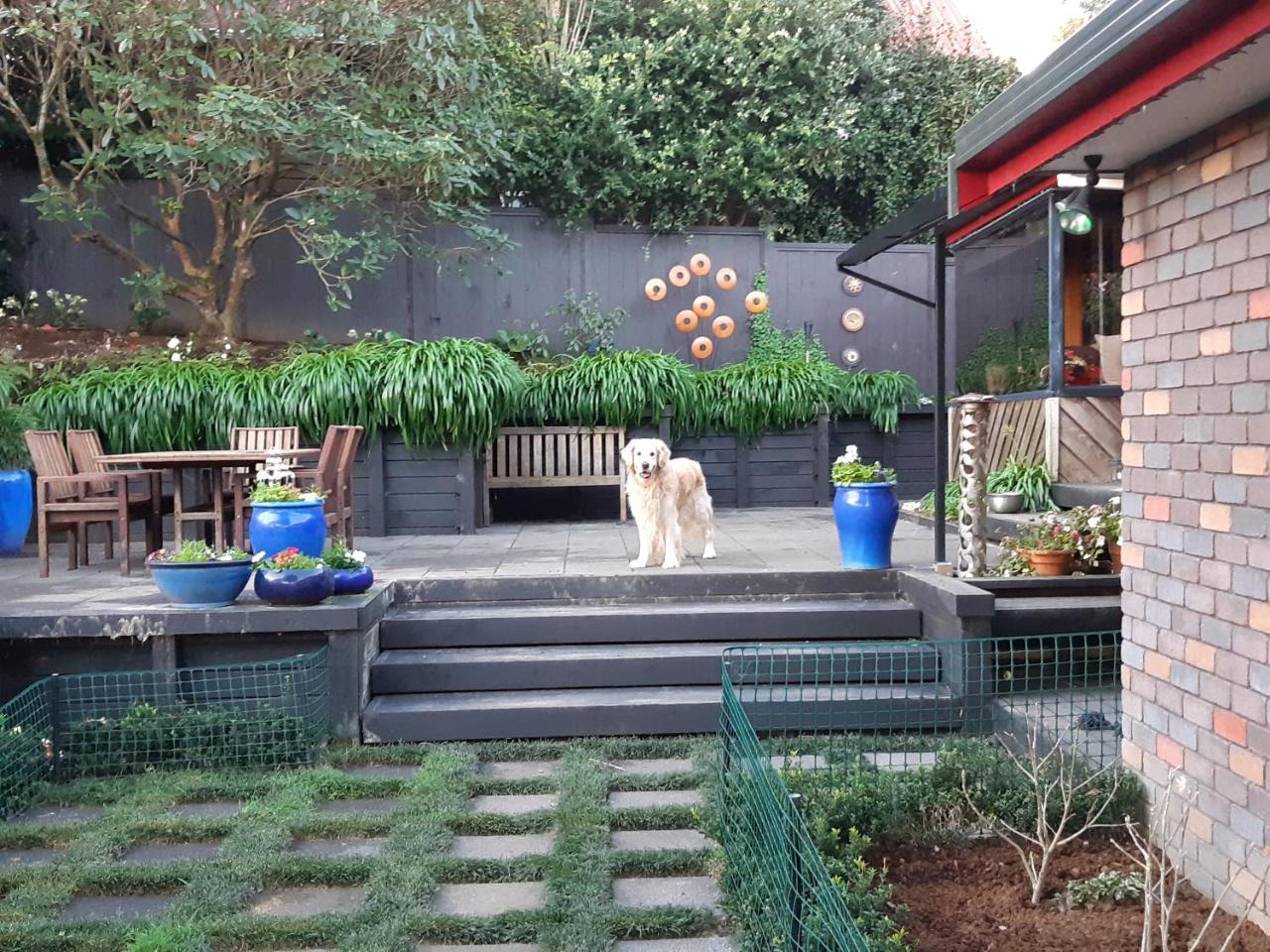 Bed and Breakfast Sequoia Steps New Plymouth Esterno foto