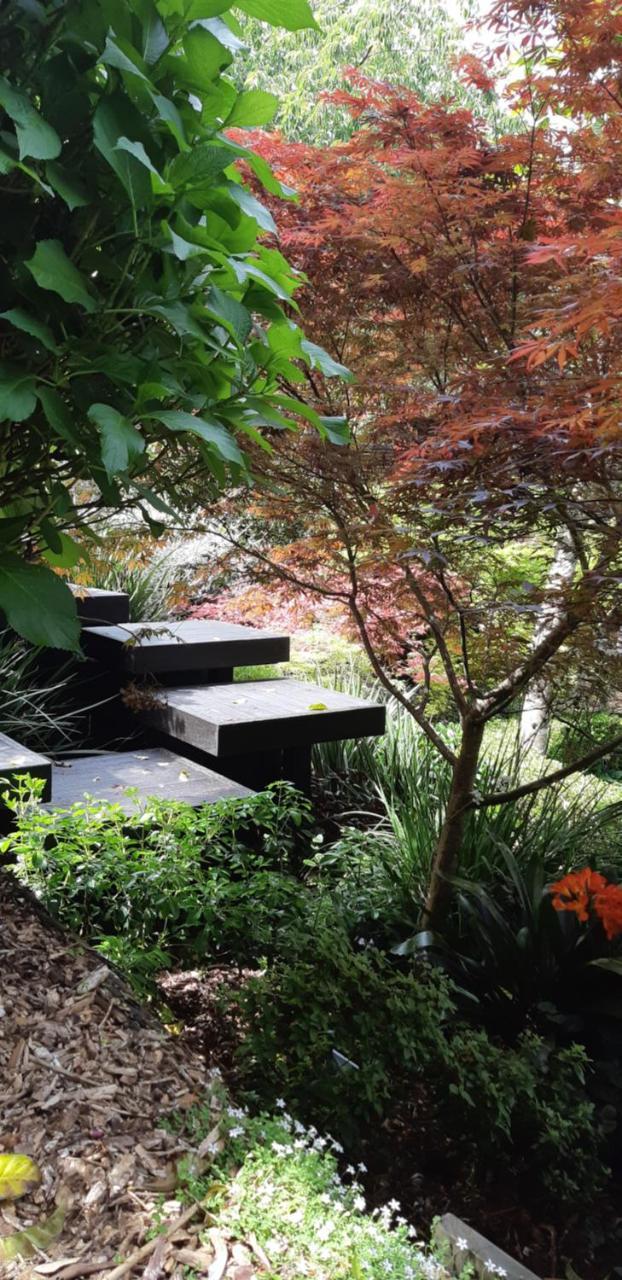 Bed and Breakfast Sequoia Steps New Plymouth Esterno foto