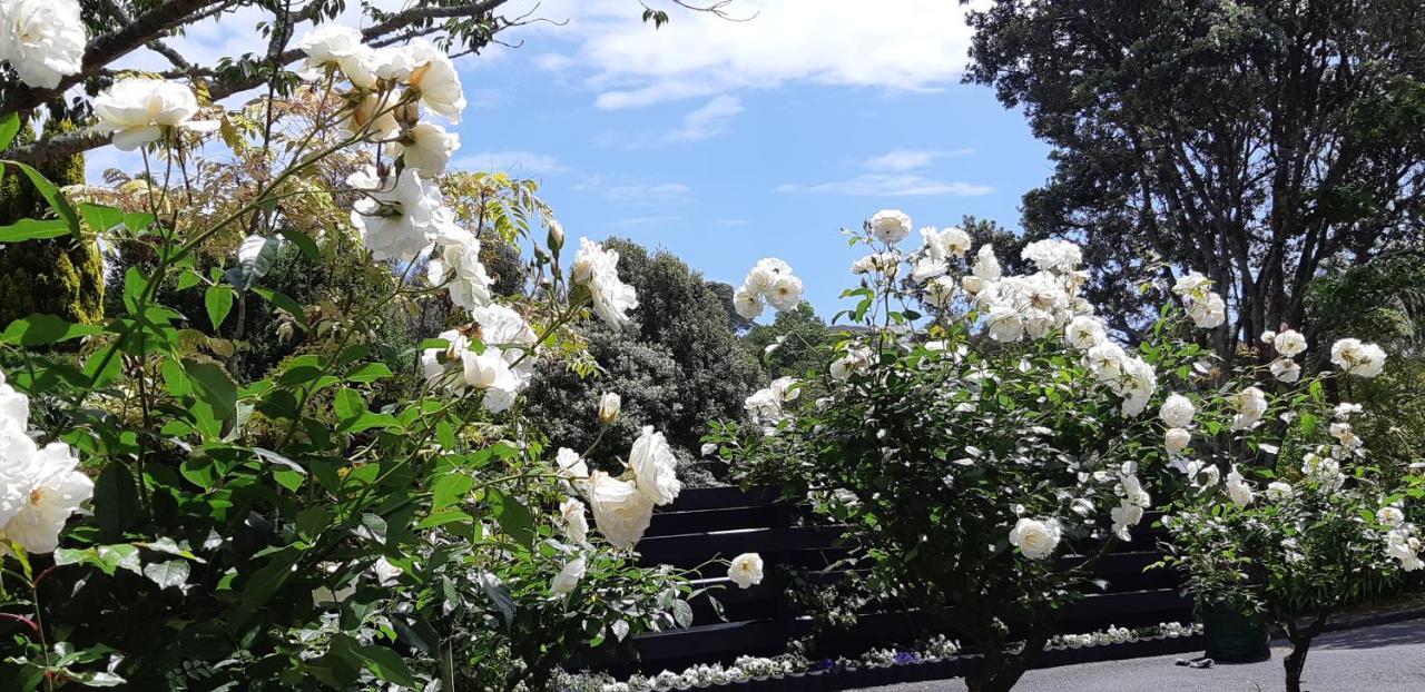 Bed and Breakfast Sequoia Steps New Plymouth Esterno foto